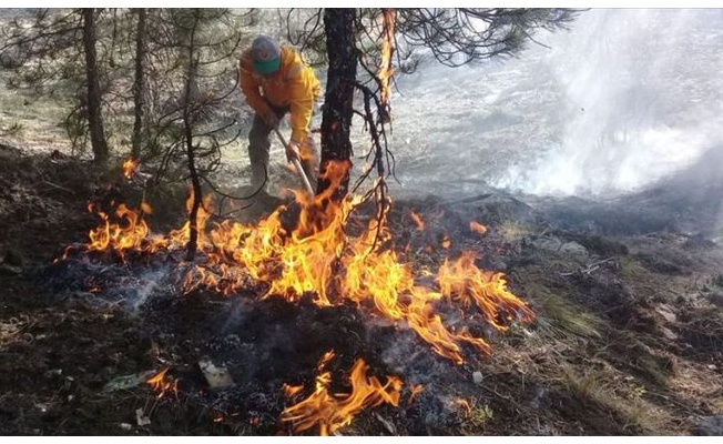 Muğla'da  Orman Yangınları