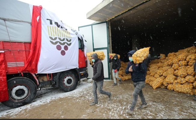 TMO Çiftçiden Patates  ve Soğan Alımına Başladı