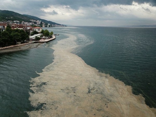 Marmara Denizi Ölüyor
