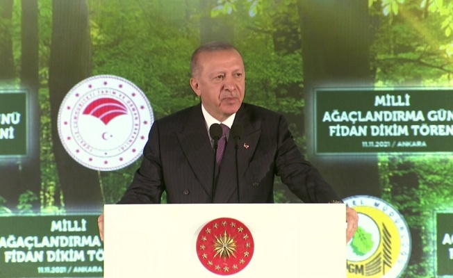 Başkan Erdoğan "Hedefimiz 7 Milyar Ağaçlandırma Yapmak"