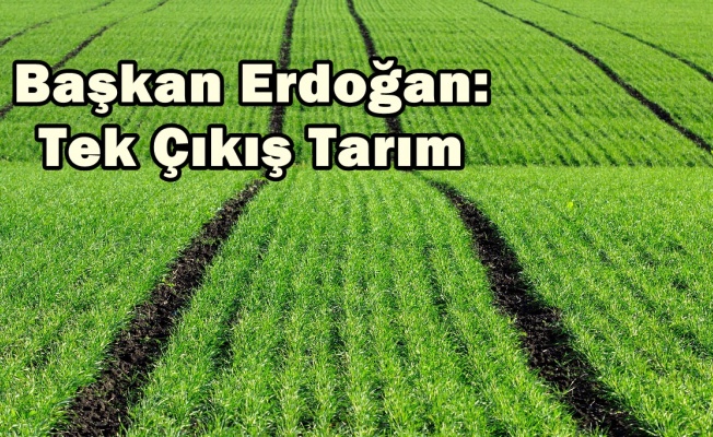 Başkan Erdoğan: Tek Çıkış Tarım