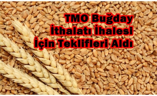 TMO Buğday İthalatı İhalesi İçin Teklifleri Aldı