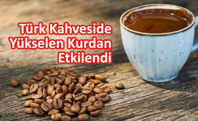 Türk Kahveside  Yükselen Kurdan Etkilendi
