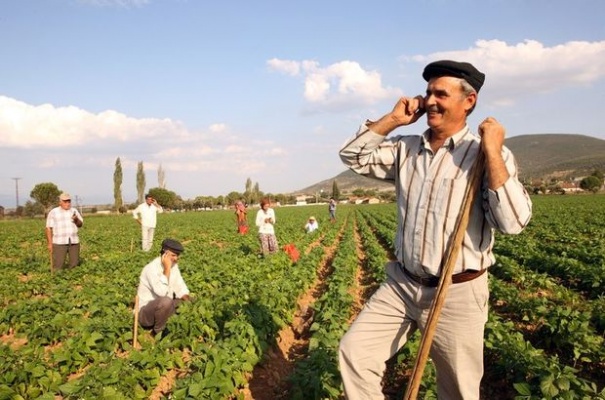 Başkan Erdoğan’dan Çiftçilere Tam Destek