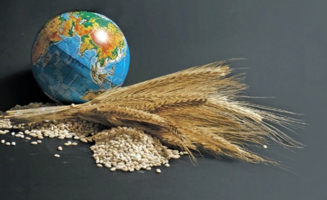 Küresel Gıda Fiyatları Ağustos Ayında Geriledi Mi?