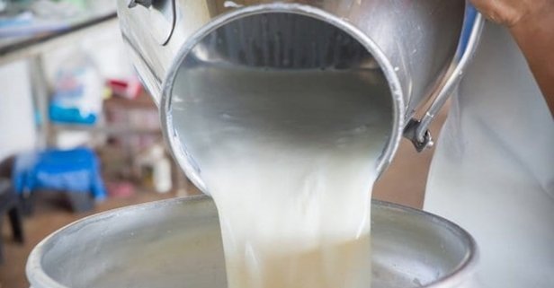 Çiğ Süt Destekleri Bugün Ödeniyor