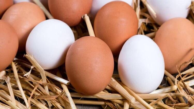 Şemsi Bayraktar: Yumurtada Yeni Pazarlar Bulunmalı