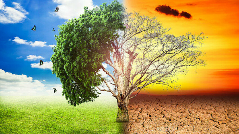 TZOB: İklimsel Değişimler Tarım Sektörünü Olumsuz Etkiliyor